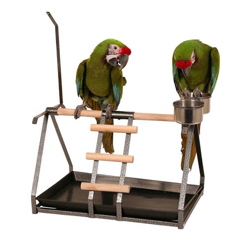Taman Permainan Burung Parrot Playstand